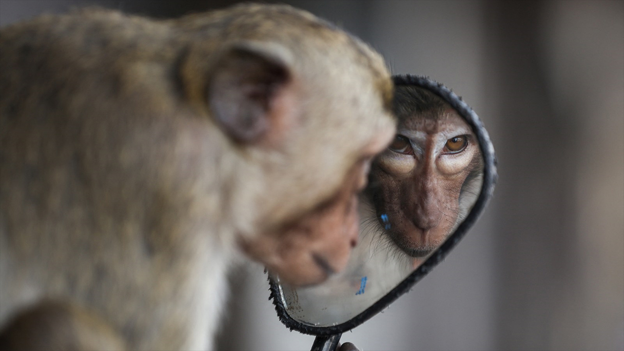 World Press Photo annuncia i vincitori del Contest 2025