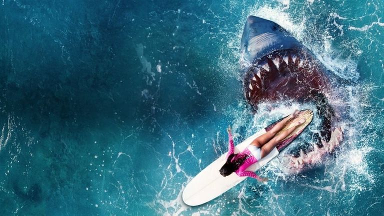 Film sugli squali assassini, i titoli da vedere assolutamente
| Wired Italia