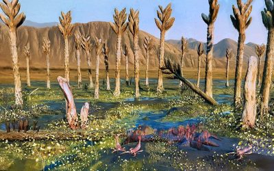 Organismi giganti vissuti milioni di anni fa, il mistero dei Prototaxites continua