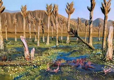 Organismi giganti vissuti milioni di anni fa, il mistero dei Prototaxites continua