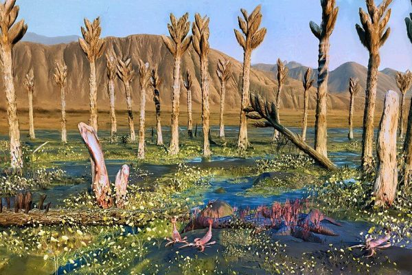 Organismi giganti vissuti milioni di anni fa, il mistero dei Prototaxites continua