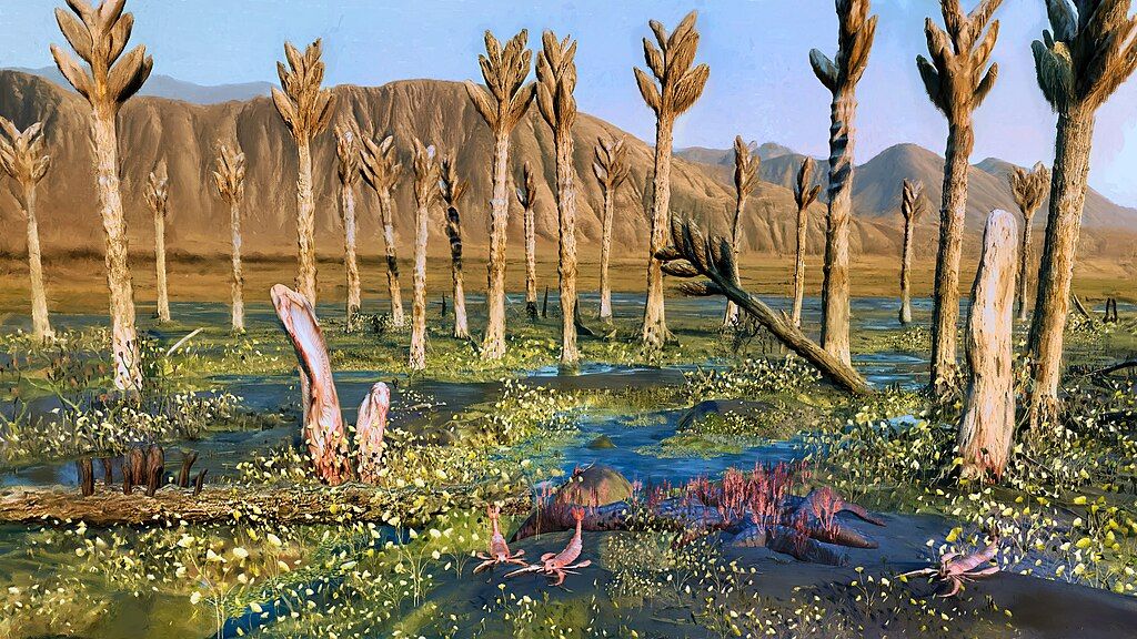 Organismi giganti vissuti milioni di anni fa, il mistero dei Prototaxites continua