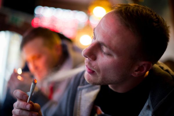 Cannabis nei Paesi Bassi, il progetto pilota per vendere solo quella legale nei coffee shop
