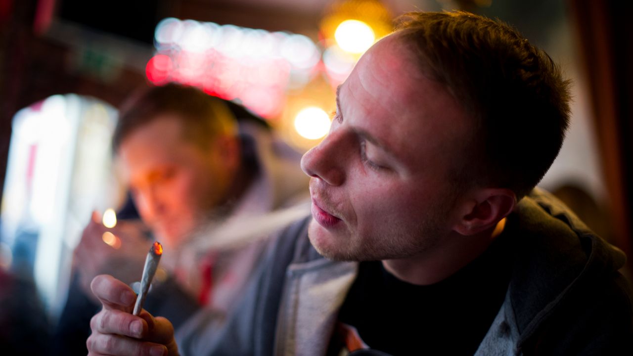 Cannabis nei Paesi Bassi, il progetto pilota per vendere solo quella legale nei coffee shop