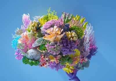 Mind wandering, tutti i benefici del vagare con la mente