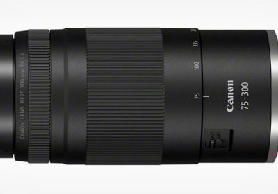 Canon RF 75-300mm f/4-5.6, un ritorno in salsa mirrorless