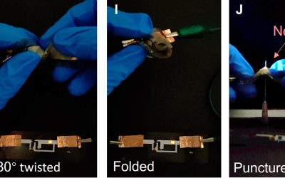 Dall'Università di Berkeley la batteria agli ioni di litio che funziona anche da attorcigliata, perforata e tagliata