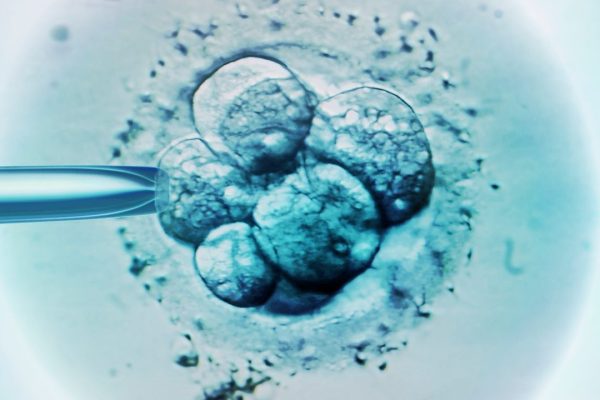 Embrioni congelati, cosa succede quando non vengono utilizzati