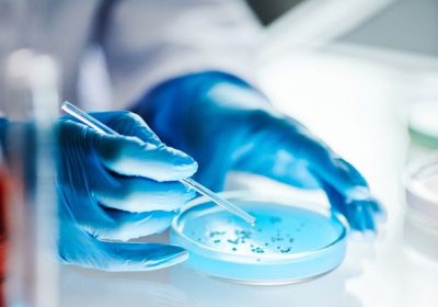 Malattia carnivora, negli Usa raddoppia l’incidenza dell’infezione che può causarla