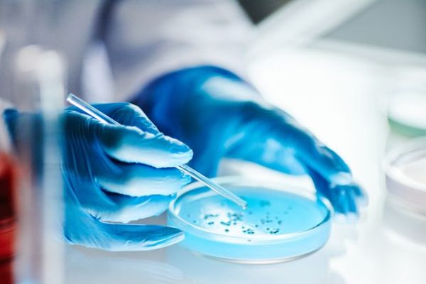 Malattia carnivora, negli Usa raddoppia l’incidenza dell’infezione che può causarla