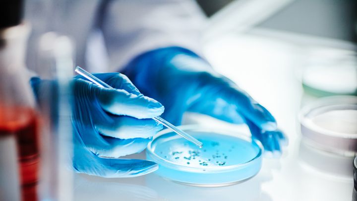 Malattia carnivora, negli Usa raddoppia l’incidenza dell’infezione che può causarla