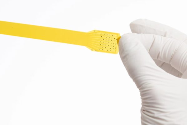 La FDA ha approvato l'impianto cerebrale di Precision Neuroscience, concorrente di Neuralink