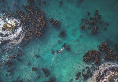 Giornata della Terra, cinque opere preziose da guardare per celebrarla