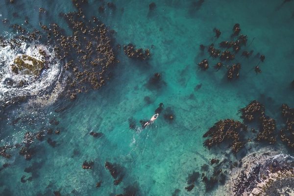 Giornata della Terra, cinque opere preziose da guardare per celebrarla