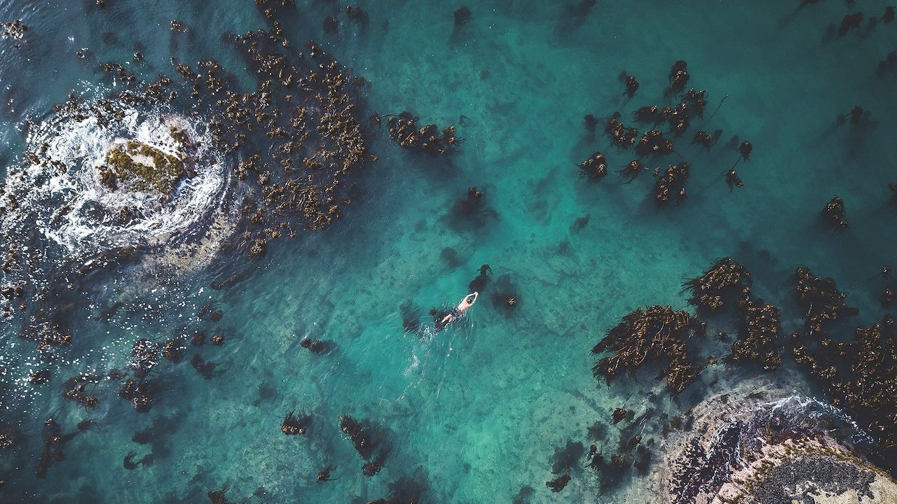 Giornata della Terra, cinque opere preziose da guardare per celebrarla