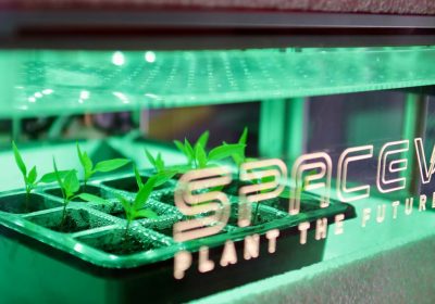 Cibo nello spazio, la serra dinamica che permetterà agli astronauti di coltivare frutta e verdura fresca