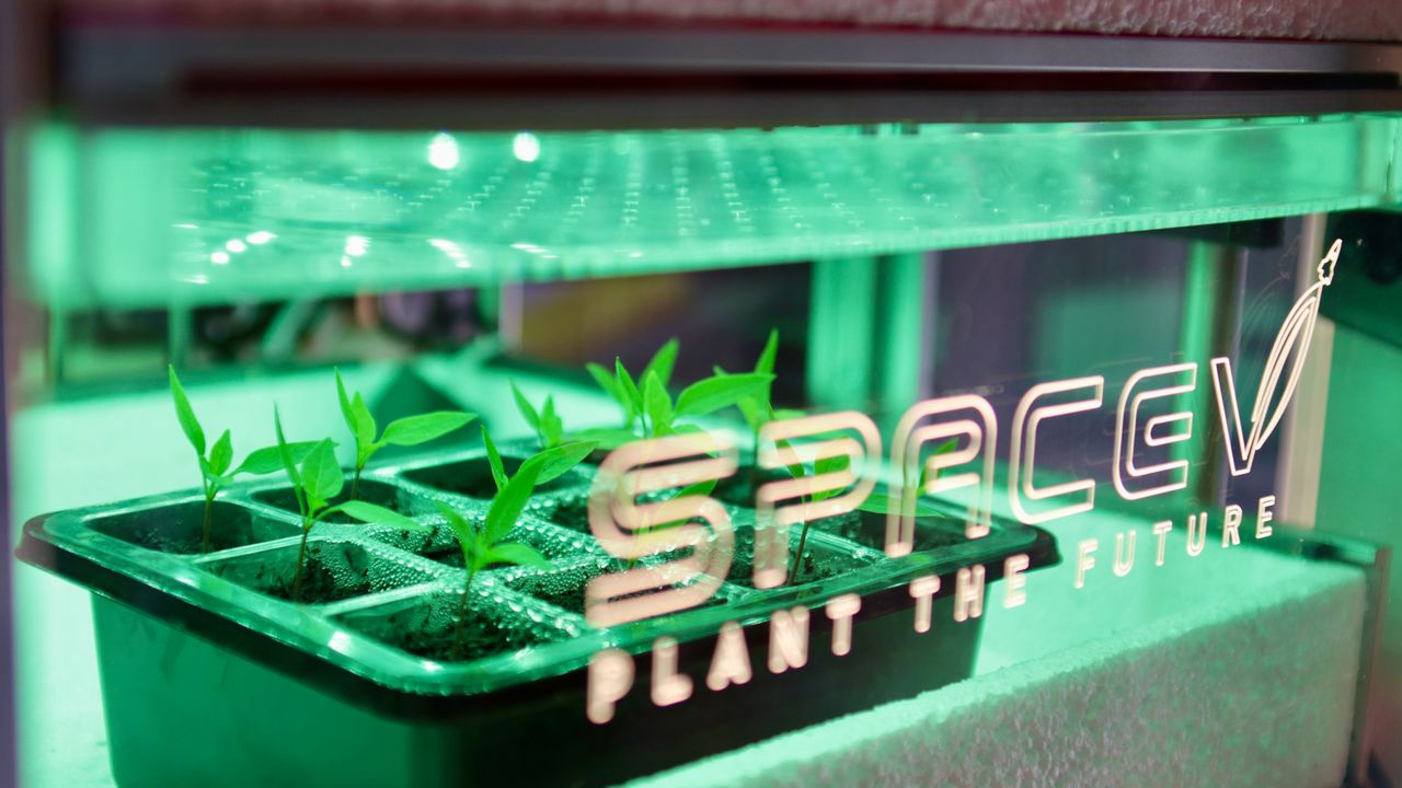 Cibo nello spazio, la serra dinamica che permetterà agli astronauti di coltivare frutta e verdura fresca