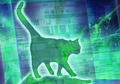 Il gatto di Schrödinger è stato finalmente scongelato