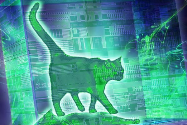 Il gatto di Schrödinger è stato finalmente scongelato