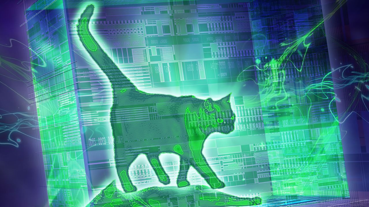 Il gatto di Schrödinger è stato finalmente scongelato