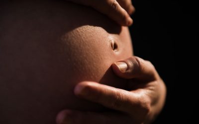 Fecondazione in vitro, una startup prova a semplificarla