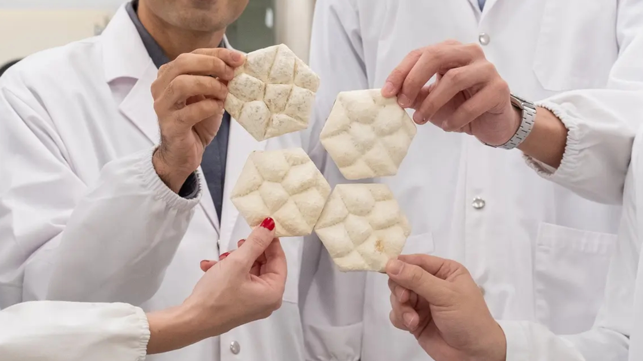 Una piastrella a base di funghi che replica la pelle di elefante per raffreddare gli edifici