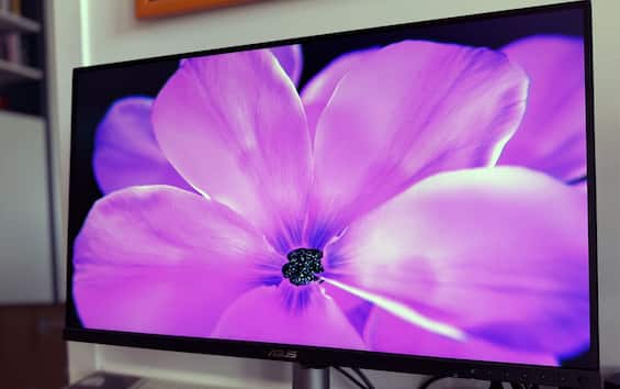 Recensione monitor ASUS ProArt: caratteristiche, disponibilità, prezzi