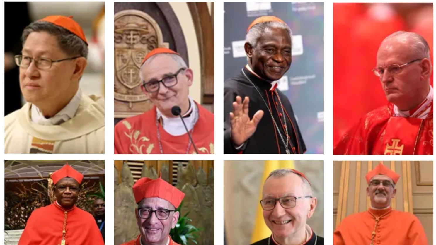 Cardinali papabili in vista del Conclave, chi sono e da dove vengono