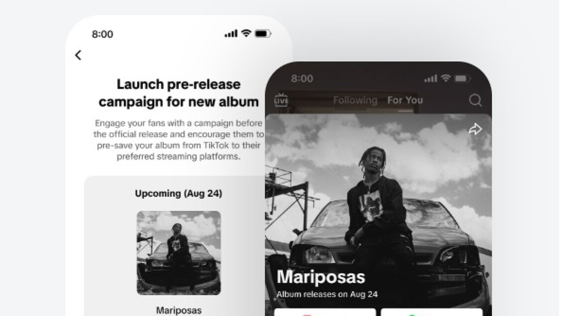 TikTok lancia una piattaforma per i musicisti – Web & Social