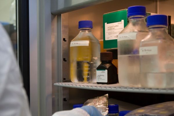 Immunoterapia, al via la fase dei test del farmaco italiano per renderla più sicura