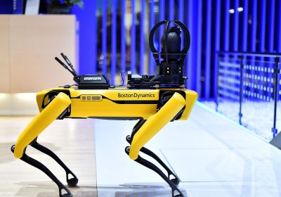 Gli animali robot che riscrivono il futuro, dal cane-robot alle api artificiali