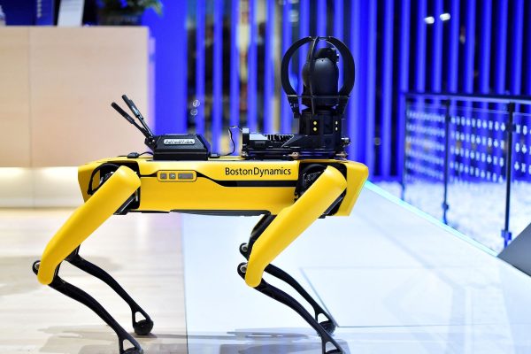 Gli animali robot che riscrivono il futuro, dal cane-robot alle api artificiali