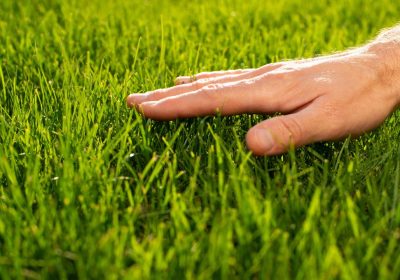 Tatto artificiale, come potrebbe migliorare la percezione sensoriale nelle persone con paralisi