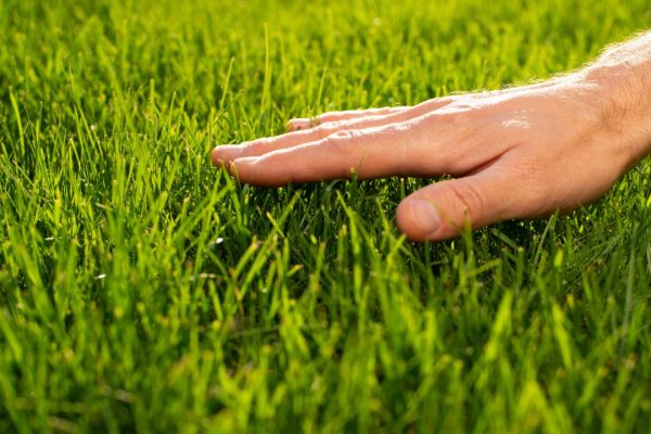 Tatto artificiale, come potrebbe migliorare la percezione sensoriale nelle persone con paralisi