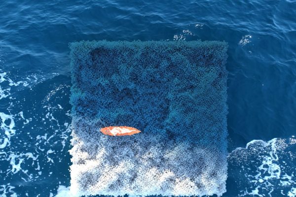 Per l’addestramento dell’intelligenza artificiale servirà moltissima acqua. Troppa