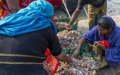 L’Asia è ancora il continente più malnutrito del pianeta