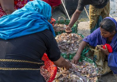 L’Asia è ancora il continente più malnutrito del pianeta