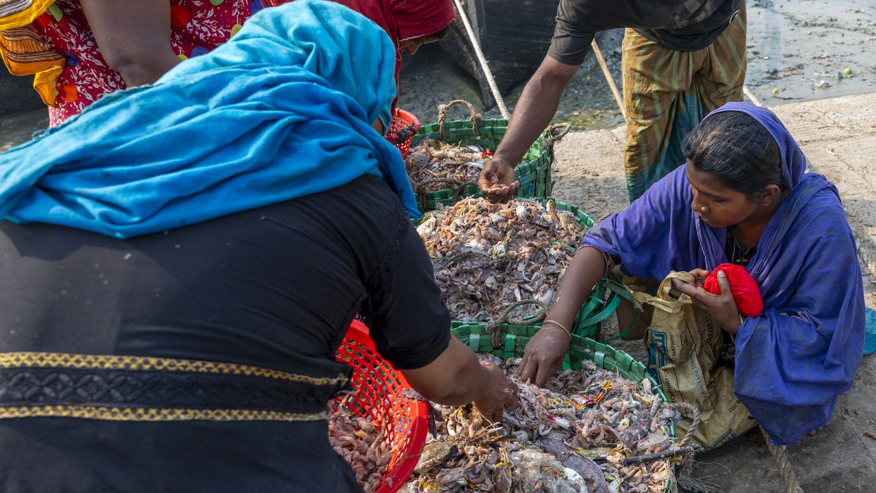 L’Asia è ancora il continente più malnutrito del pianeta