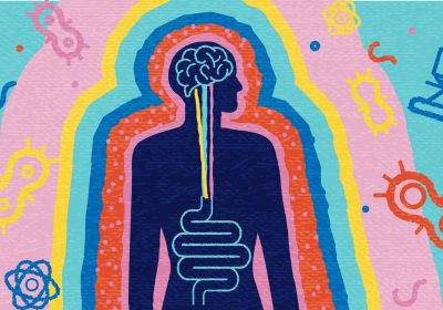 Intestino, l'intelligenza nascosta e il dialogo con il cervello