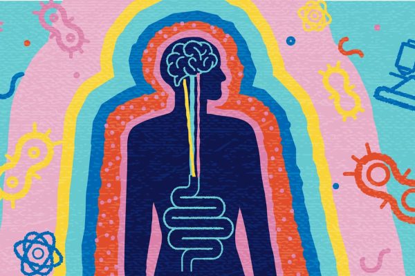 Intestino, l'intelligenza nascosta e il dialogo con il cervello