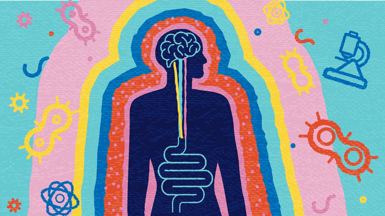 Intestino, l'intelligenza nascosta e il dialogo con il cervello