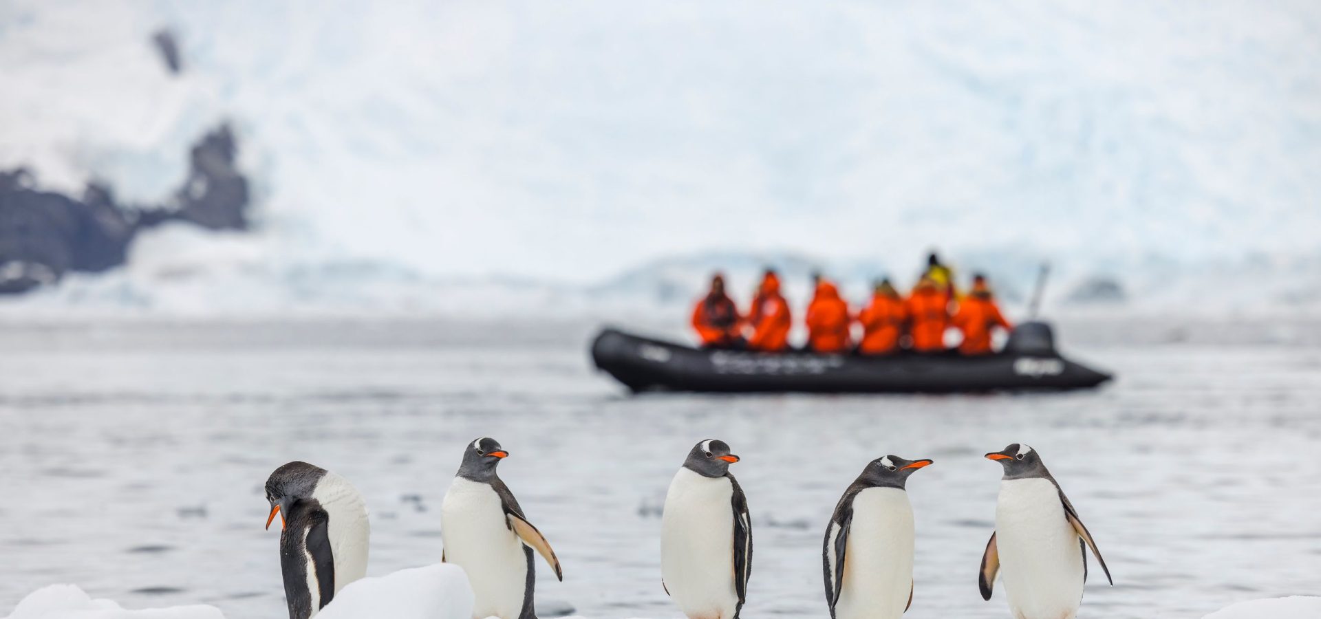 Foto di scienziati e scienziate come non li avete mai visti nel contest della rivista Nature “Scientist At Work”