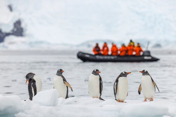 Foto di scienziati e scienziate come non li avete mai visti nel contest della rivista Nature “Scientist At Work”