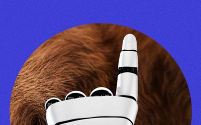 Amazon, il nuovo robot che ha il senso del tatto