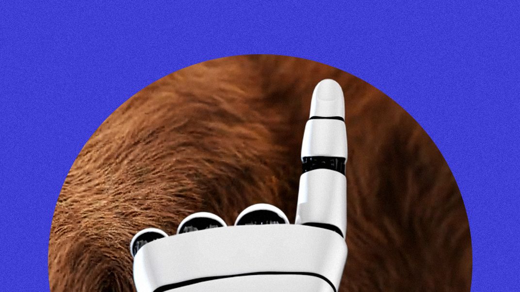 Amazon, il nuovo robot che ha il senso del tatto