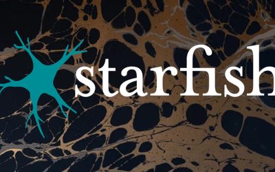 Dai videogiochi alla terapia per il Parkinson: ecco il chip neurale del fondatore di Steam