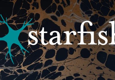 Dai videogiochi alla terapia per il Parkinson: ecco il chip neurale del fondatore di Steam