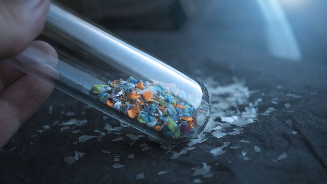 Plastica, può alterare il nostro sonno in modo simile alla caffeina