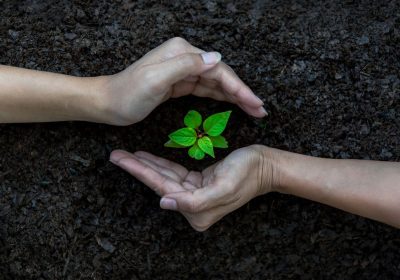 Overshoot day, In Italia abbiamo quasi finito le risorse del 2025