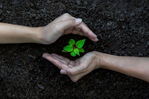 Overshoot day, In Italia abbiamo quasi finito le risorse del 2025